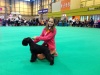 Crufts-2013