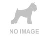 Hassanhill`s Empty Sky Hassanhill`s Empty Sky