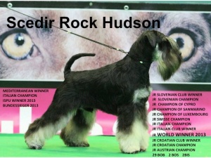 SCEDIR ROCK HUDSON